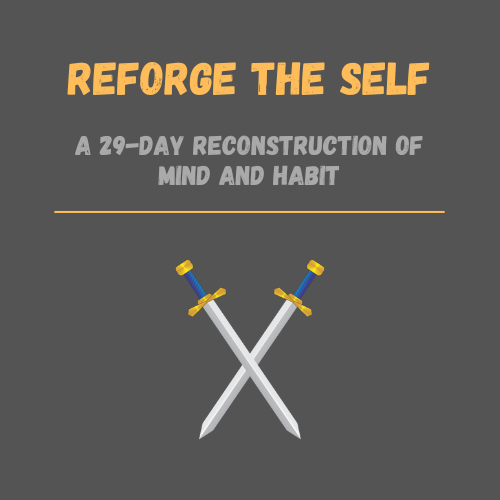 The Habit Reset Protocol — Rebuild Your Discipline from Zero